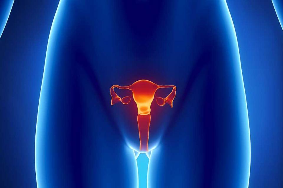 Salute Ovarica nella Fertilità